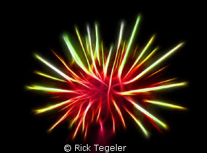 Urchin... enjoy! by Rick Tegeler 